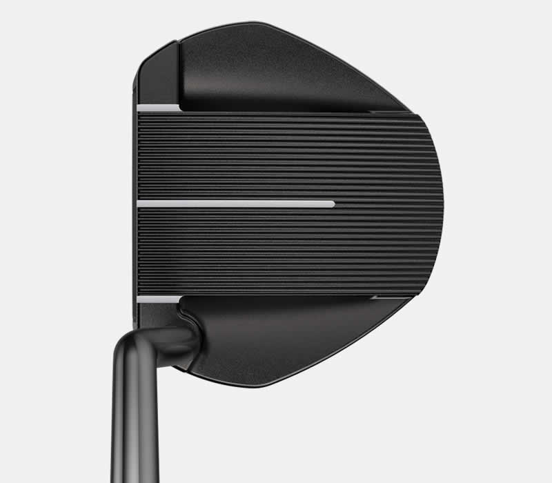 Ping 2021 Fetch Mallet Putter